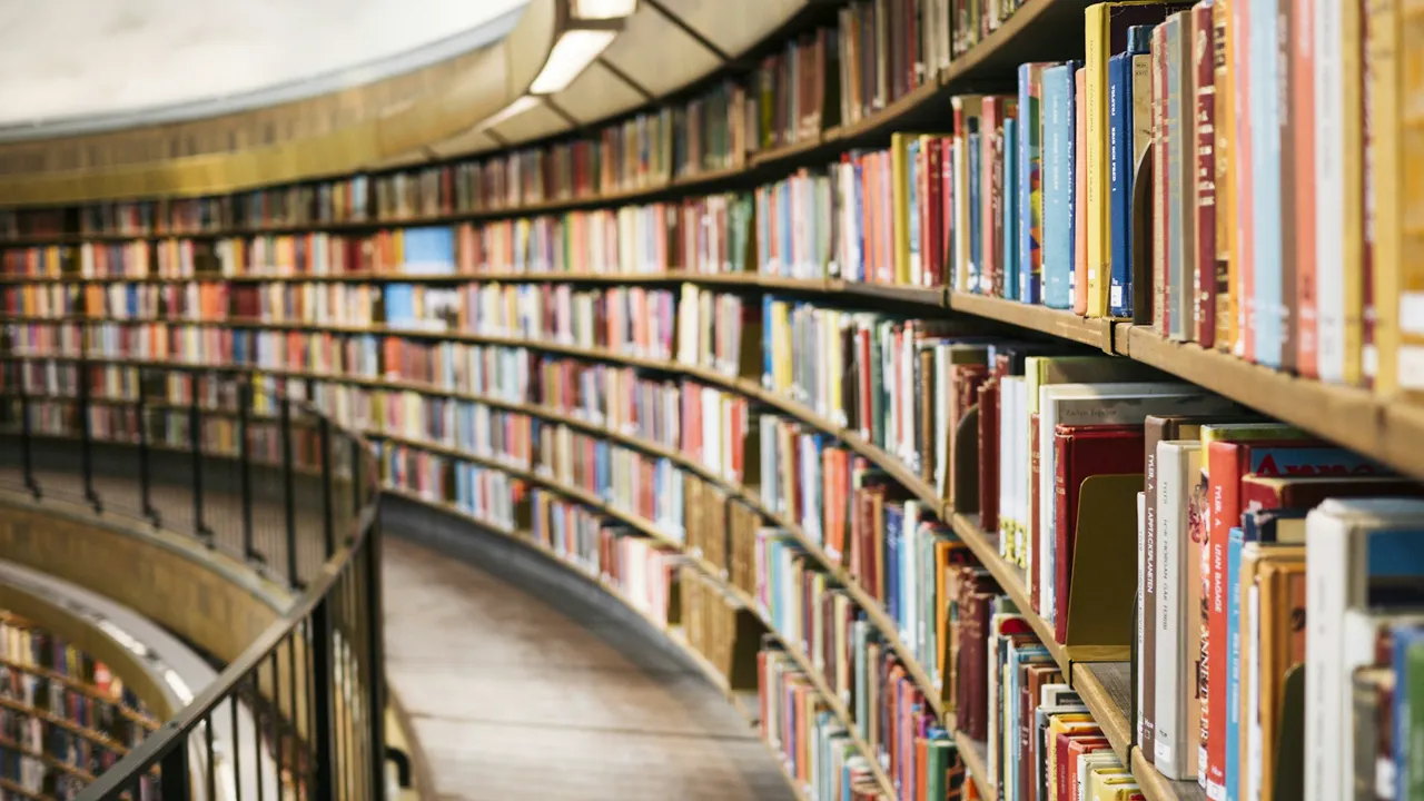 Enfant explorant des fiches illustrées et des ouvrages éducatifs à Clapiers